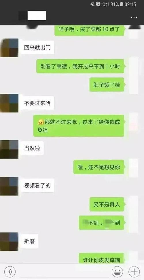 吃瓜聊天记录全部,一场全民参与的娱乐盛宴