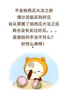 吃瓜群众的不洗头的理由,吃瓜群众的独特理由揭秘