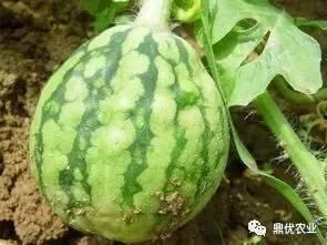 吃瓜放屁喷一墙,喷一墙的趣味生活瞬间