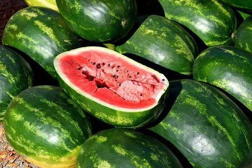 吃瓜资料,吃瓜群众眼中的明星幕后故事