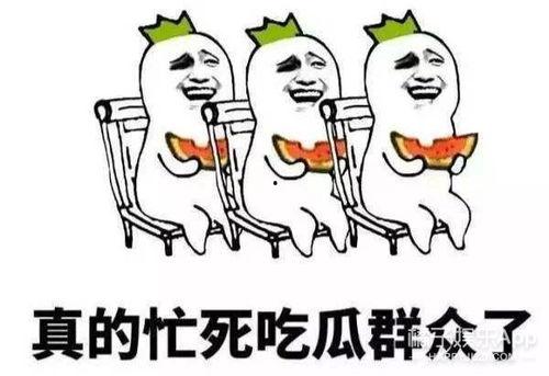 这届吃瓜群众视频,这届网友的狂欢盛宴