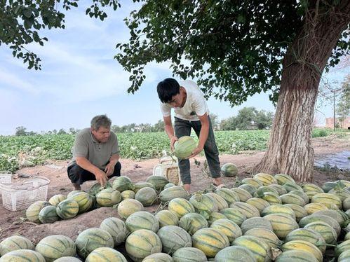 李豆罗吃瓜,揭秘娱乐圈幕后真相