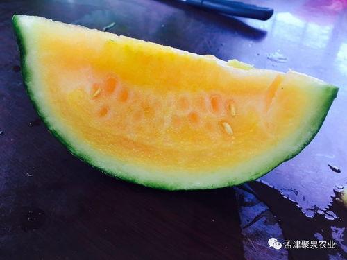 聚水潭吃瓜,揭秘网络热议背后的真相与笑料