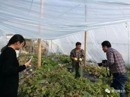 榆次最新的吃瓜群众,最新民生话题盘点