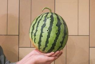 衢州吃瓜事件视频最新,一场网络热议的真相揭秘