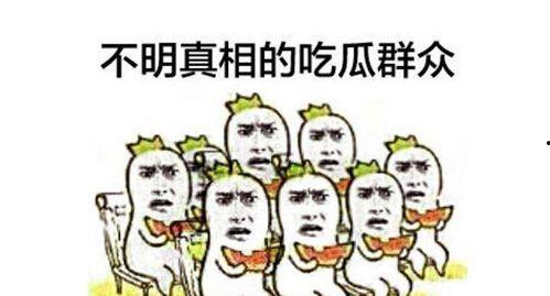 涪陵吃瓜群众新闻,最新新闻事件深度解析