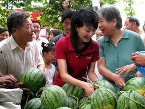瓜农和吃瓜群众,共绘夏日田园生活画卷