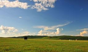 草原深处,探寻草原深处的神秘世界