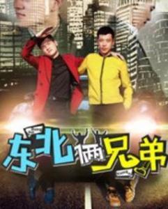 东北俩兄弟,携手共筑美好家园