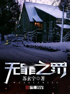 无罪之罚,揭开司法误判的阴影与反思