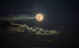 错将旧月当新月,误将旧月当新月的奇妙误会