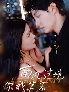 南风国境你我皆客,异域客旅的交融篇章