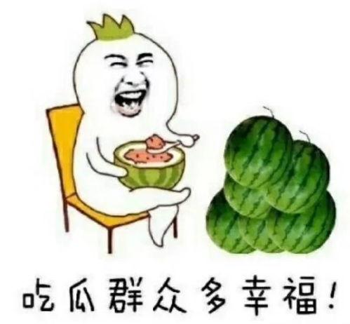 吃瓜源于娱乐圈